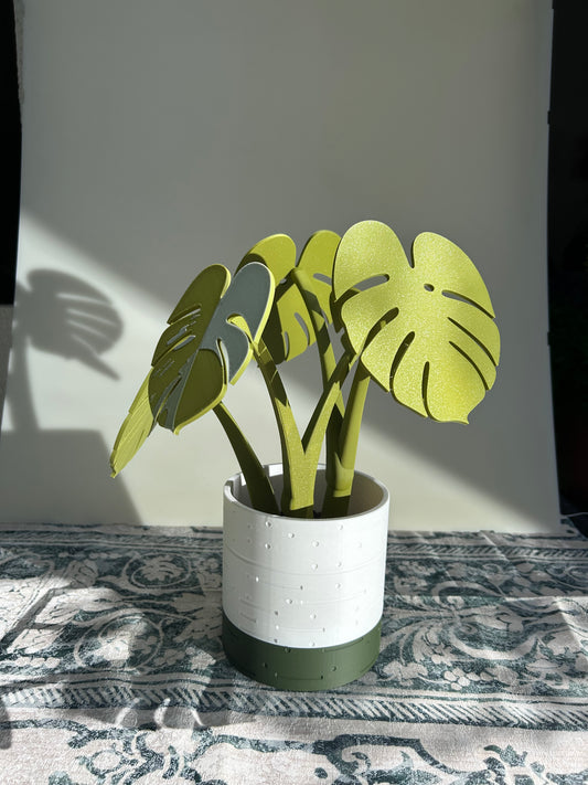 Monstera Untersetzer