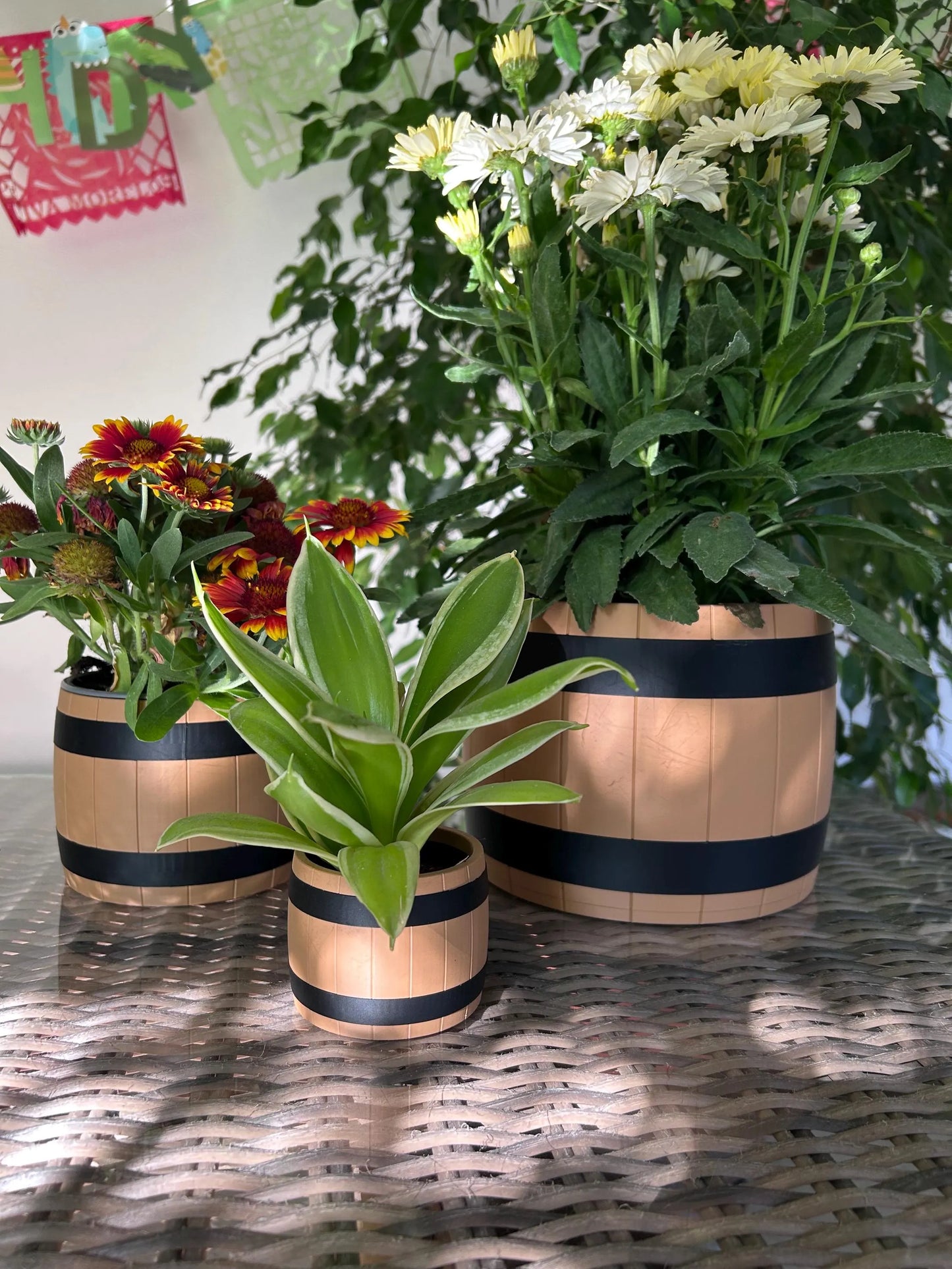 Plant pot for wine lovers