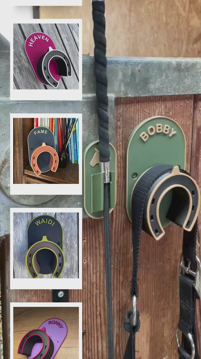 Bridle and halter holder
